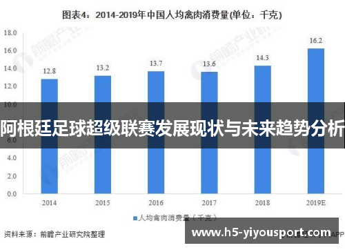 阿根廷足球超级联赛发展现状与未来趋势分析